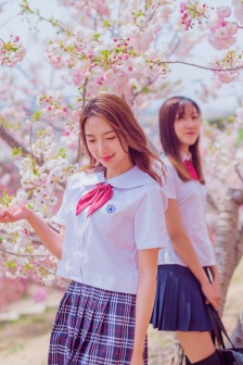 伪装者电视剧全集免费观看